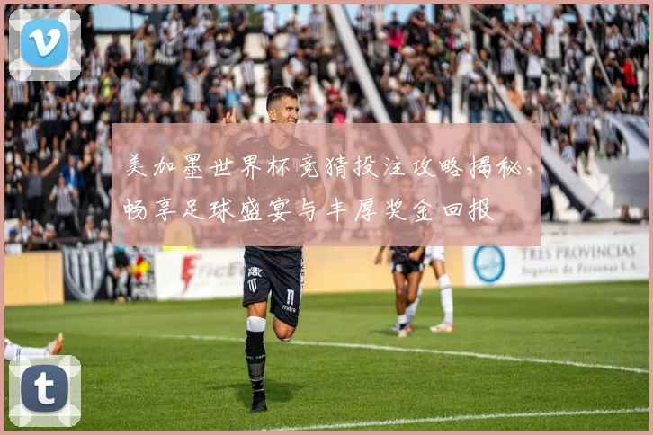 美加墨世界杯竞猜投注攻略揭秘，畅享足球盛宴与丰厚奖金回报