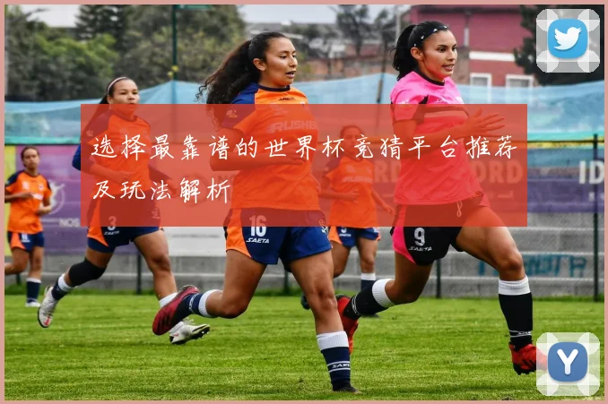 选择最靠谱的世界杯竞猜平台推荐及玩法解析