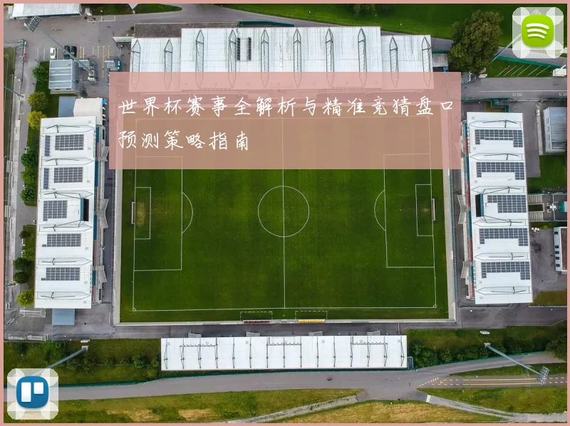 世界杯赛事全解析与精准竞猜盘口预测策略指南